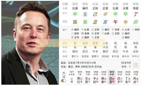 elon musk 八字